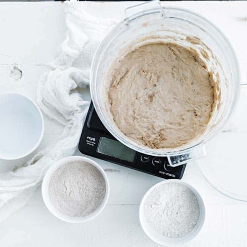 Sourdough Starter Recipe Levain Chef Billy Parisi