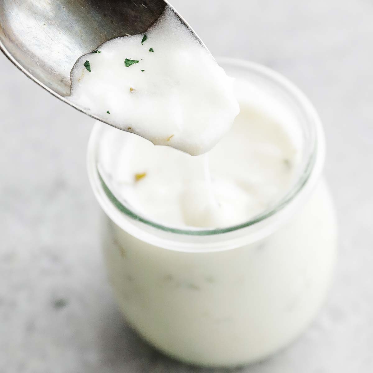 Homemade Plain Yogurt