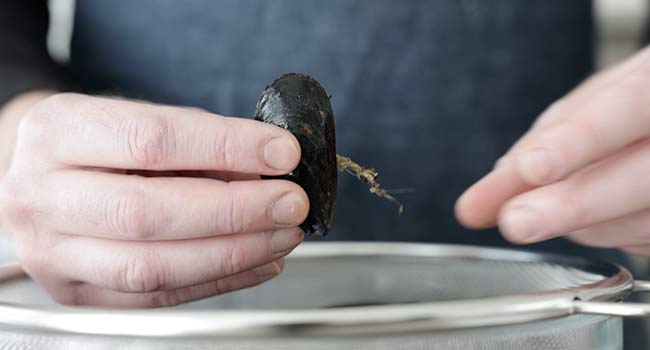 removing the beard from mussels