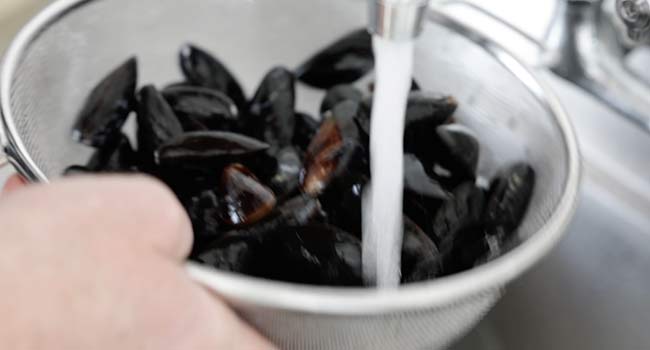 rinsing mussels