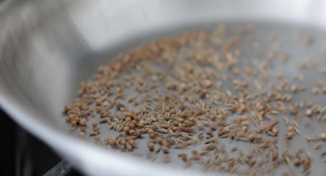 toasting seeds in a pan