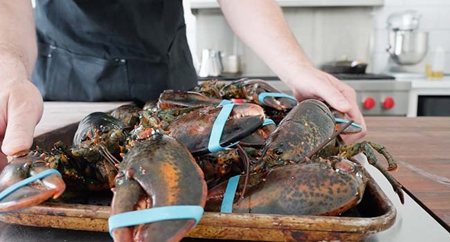 lobsters on a tray