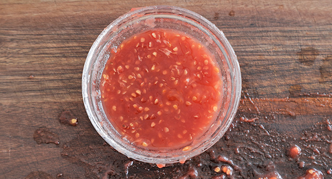 tomato seeds and juice