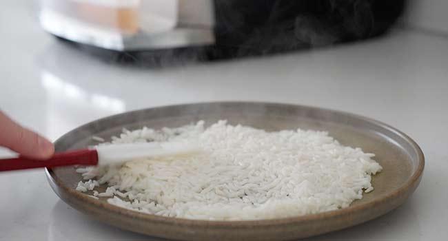 spreading cooked rice on a plate