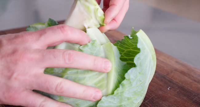 removing a core from cabbage