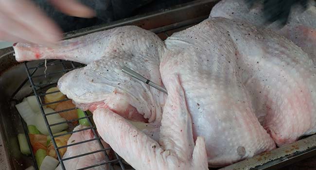 adding a thermometer to a spatchcock turkey