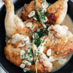 roman chicken cacciatore in a bowl