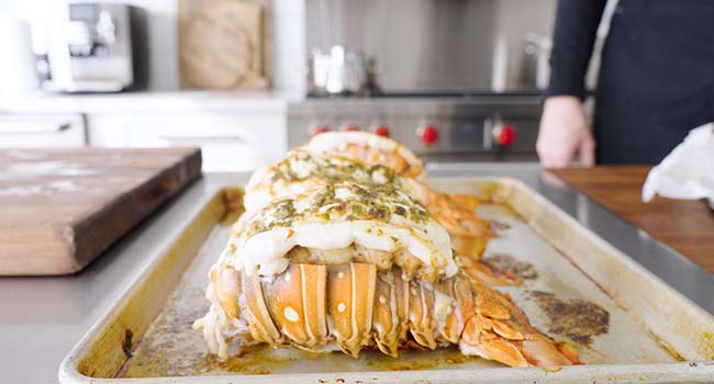 resting broiled lobster tails